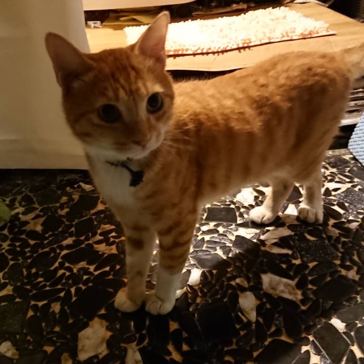 Ffcbb8fb 8e38 4830 9a0e 1a74d2a50d54 1567505538695