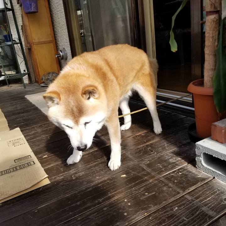 Ffcbcfaa 5c74 4ca9 9e38 aa34ff866e23 1712790990291