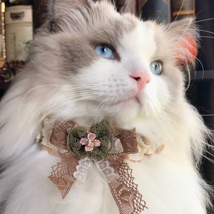 Ffcbd961 c1d9 4073 b7ab 2dbbed11d917 1601291402137