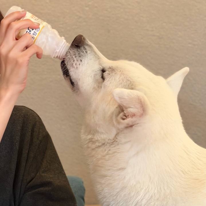 Ffcc0058 93a1 49c1 b980 836f98bfb6e6 1768305138772