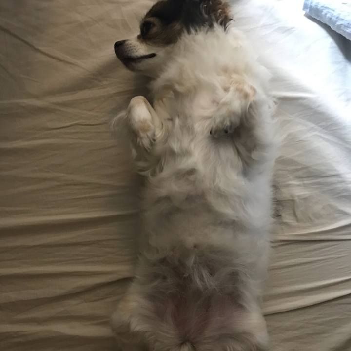 Ffccc092 0412 4960 a9ff 5585016497d8 1599318386837