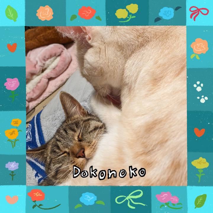 Ffccc7e5 8ef0 4e31 823c 374baa1ce8ef 1715082262598