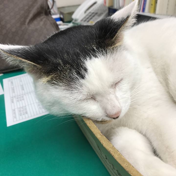 Ffccd40b 29b3 43b1 890a 74e14ceeac2e 1510733290624