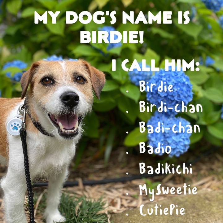 Ffccd582 9870 4961 b760 5bfa58148946 1628995793367