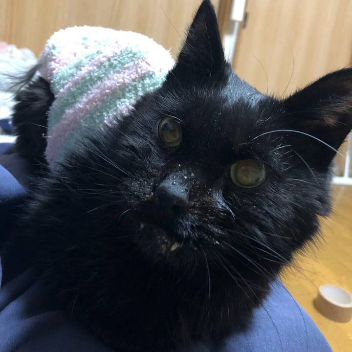 Ffccd768 dbb3 4b3f bb01 83600b77d179 1646299950918