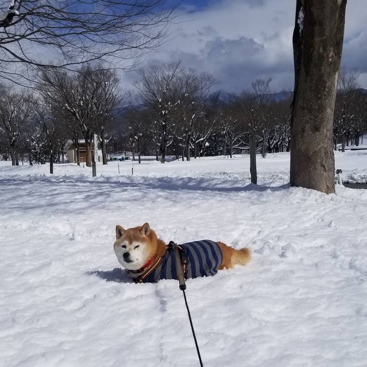 Ffcce10d 1fcf 4e18 a795 dee1d91217ad 1710044848933