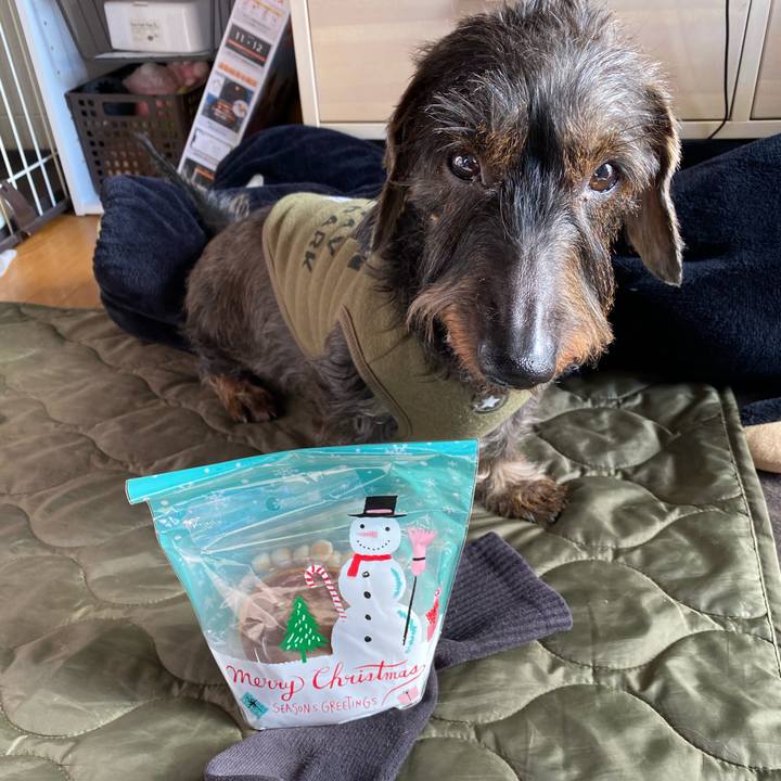 Ffcd3c2c 2c2c 437a 8bf2 7301252e690d 1608864271114