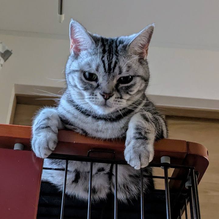 Ffcd5b36 b247 41c9 a11c b1aa625814e3 1748212176080