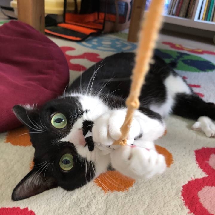 Ffcd73a2 65d9 4921 9e57 d61d84a903cf 1531236520304