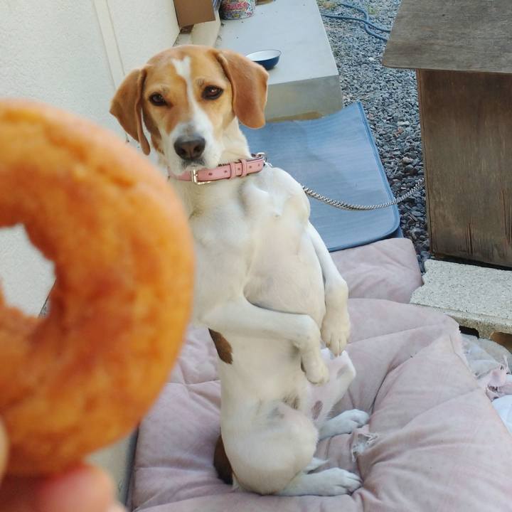 Ffcd7de3 2b7c 4908 802b 90fb61ae2725 1588835135364