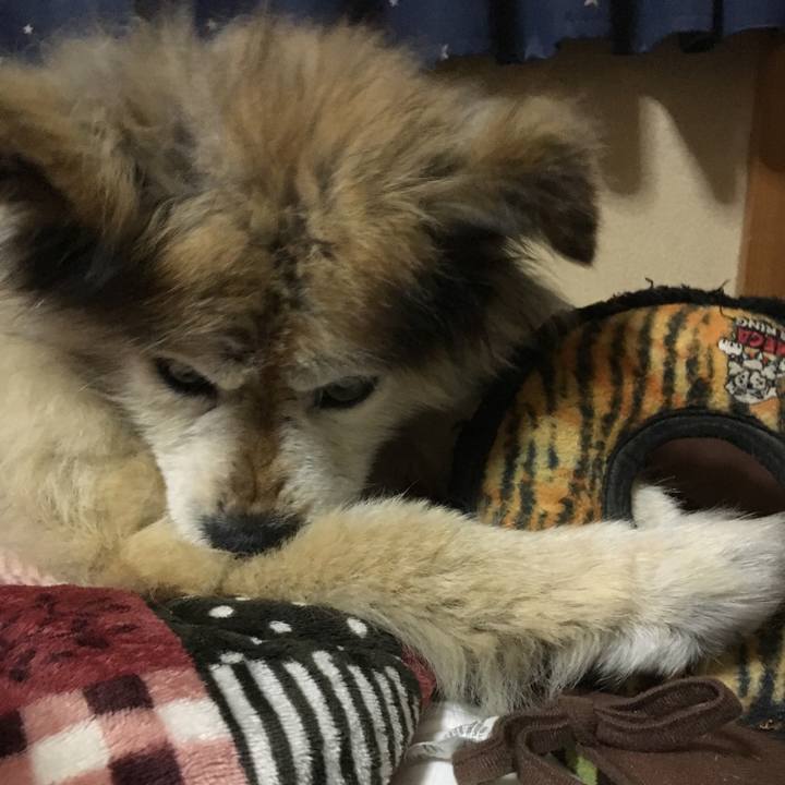 Ffcd8cfe a0db 4994 b00a 197fc6d27e05 1600738871966