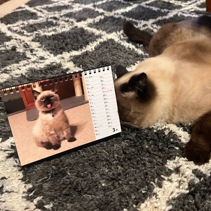 Ffcd94bd b673 490a a9fe dd8ef891485f 1646134314415