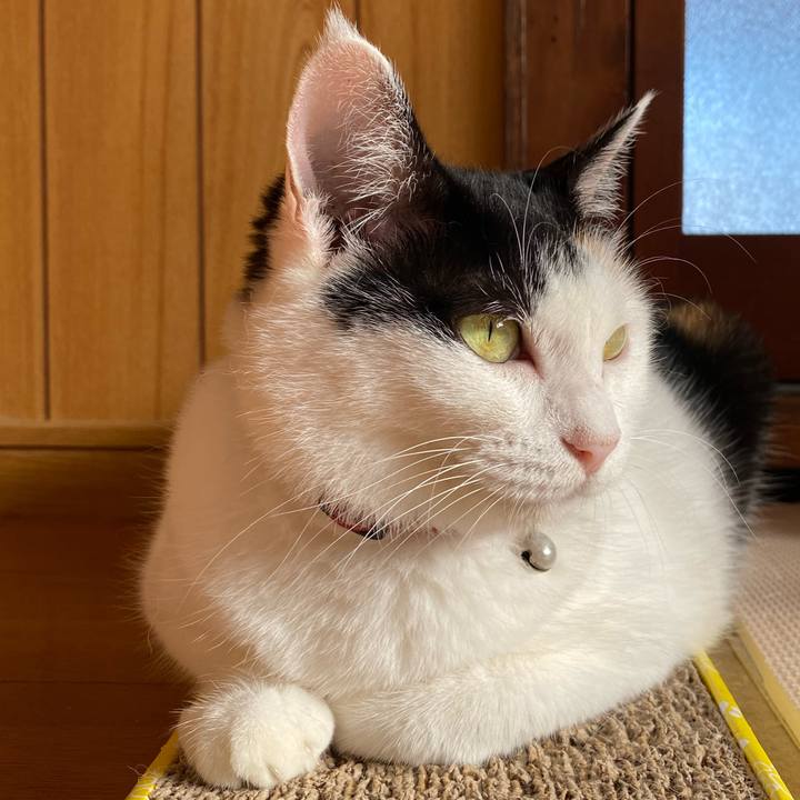 Ffcd9e09 30a6 4f6b 98de 9040c3663cf8 1692020717371