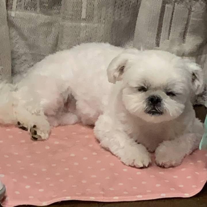 Ffcdf8ca b02f 4c17 92b0 23818fe361d5 1650546067025