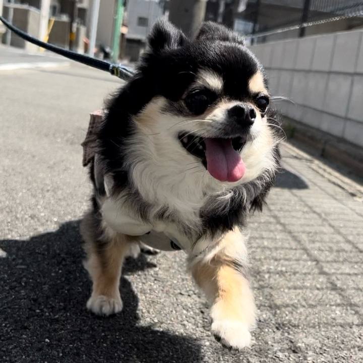 Ffce457f 92d1 4c2c a09d 9f49c8dbccef 1711772988529