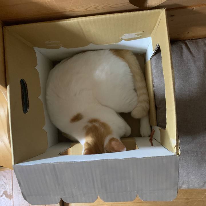 Ffce48f2 2ddd 4979 a64b 57283732ed27 1659269037421