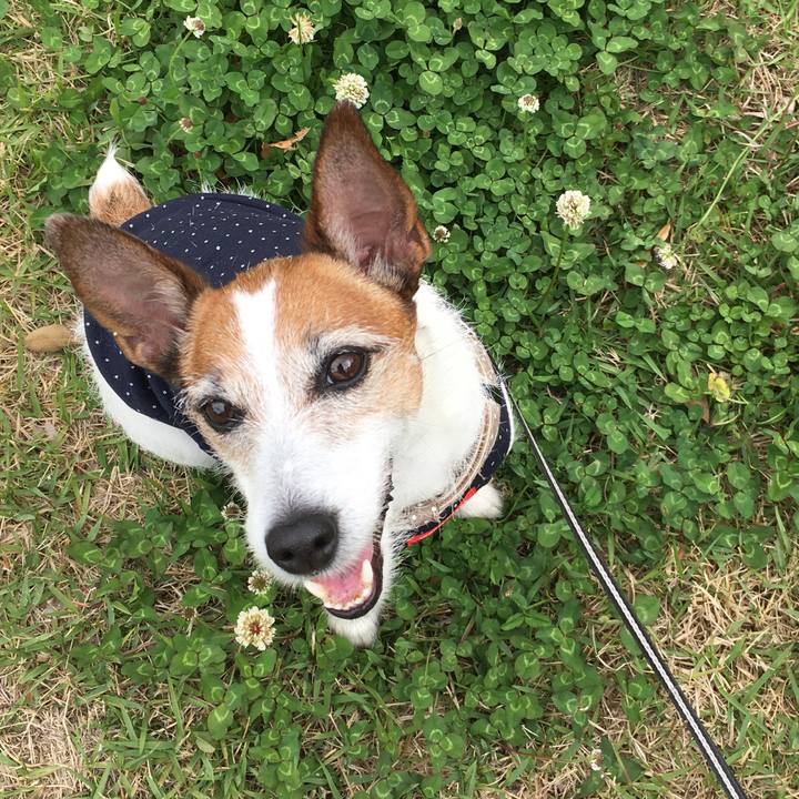 Ffce49fc 100c 4b7f a96a 2e0a5f40b586 1589500911208