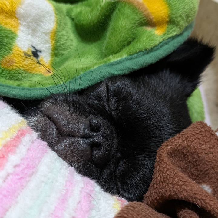 Ffce583f 9bc0 4e0d 91ea c3c909541387 1761668709725