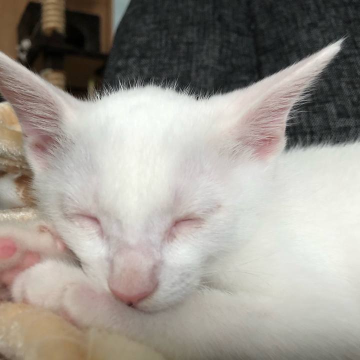 Ffce646d 8b79 41fe 945d 079741e056fd 1532656088580