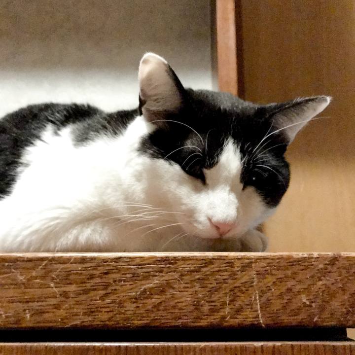 Ffce75ea 33d6 44a4 80e1 61298be2f39b 1527992476572