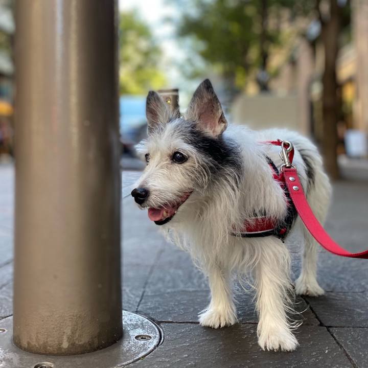 Ffceab0b 2030 40b4 bff9 3c9a4a9258b9 1632129425798