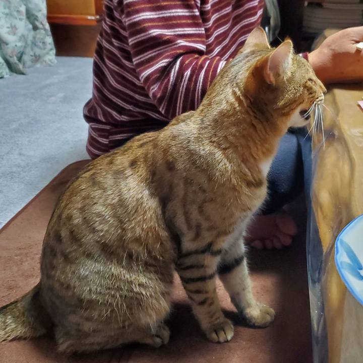 Ffceca15 6027 4751 88c7 5cb0c7c96021 1704383462880