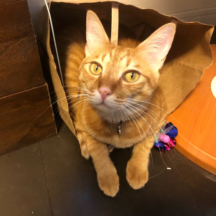 Ffcf0310 b8c1 4724 8890 48f23e3f0d2b 1638085373393