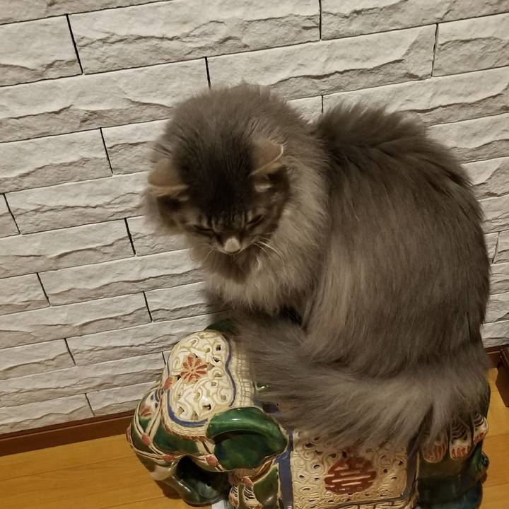 Ffcf2e3c cd37 482b 87da 06cd77c3fe41 1588369962766