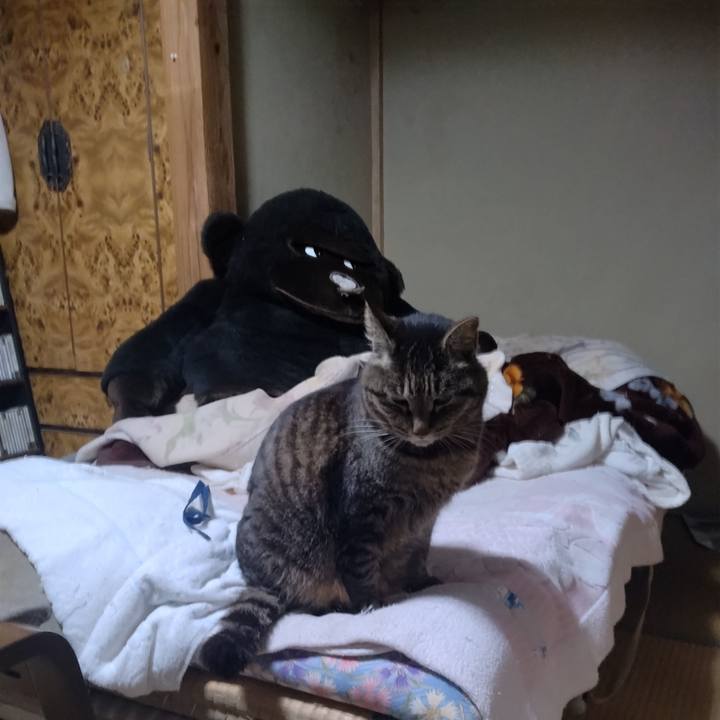 Ffcf52c1 535c 440e a2c7 2c3e34bcb2b7 1742815223852