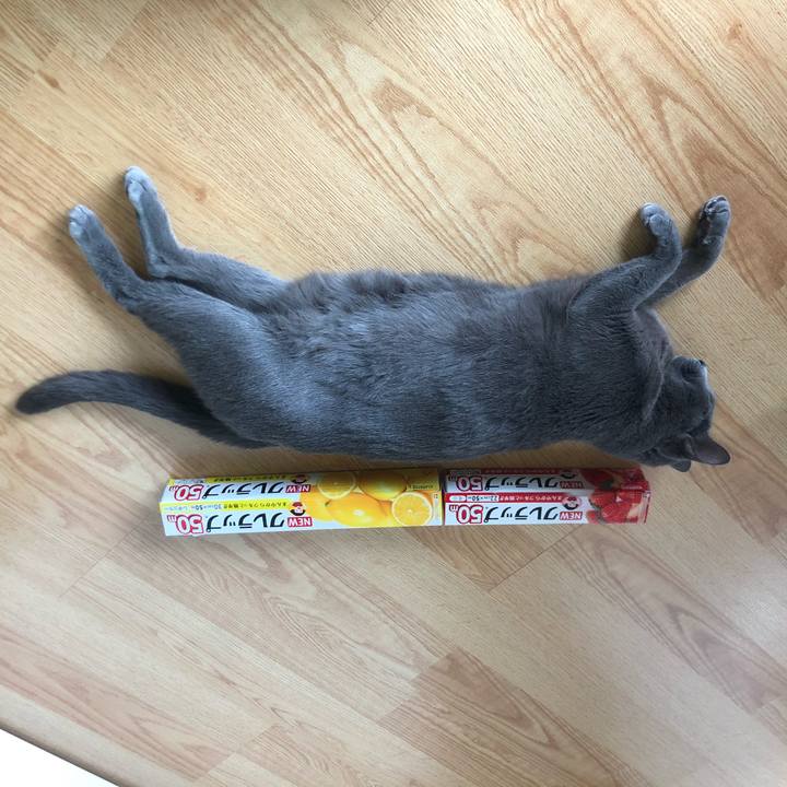 Ffcf89ef 252c 4c3c 8334 919ffee2663b 1585322966646