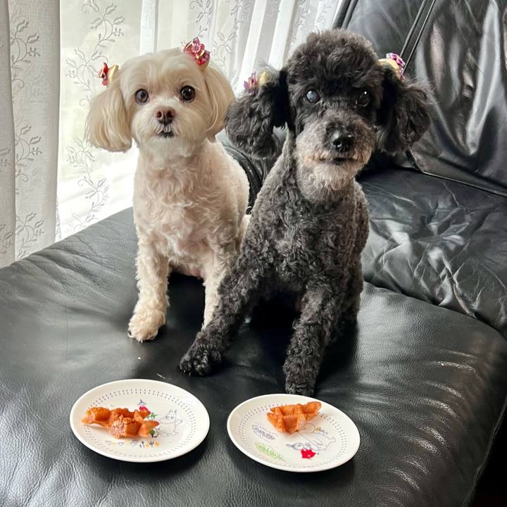 Ffcf9606 3fe5 460e 963c 3f89fe47ddcc 1759573842908