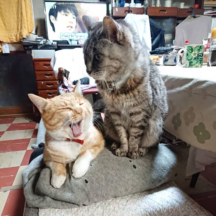 Ffcf9f1b d9c4 486c bf79 d914e2adacd5 1607463190074