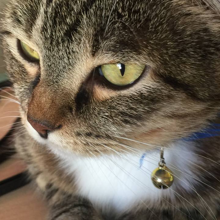 Ffcfcce6 7b58 42c5 80a6 1d2c23d673d6 1570949291089