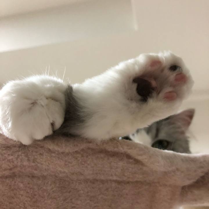 Ffd00bc5 3e5d 4343 bcbc 8a45a021125c 1584167718254