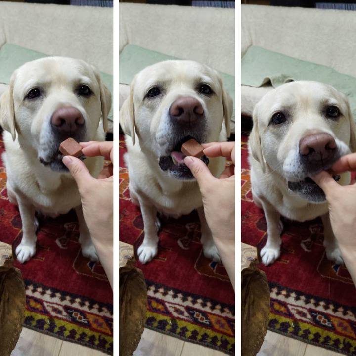 Ffd01a6a 6d60 42b3 b4d3 7fca73838cb0 1663761422576