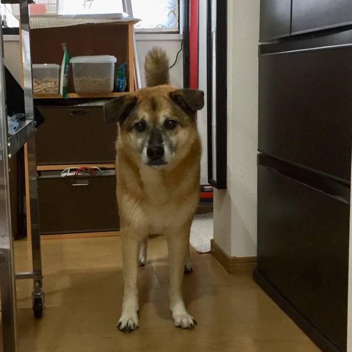 Ffd05a0a 70b1 4794 afad 536ecbf0e7d5 1570490732765