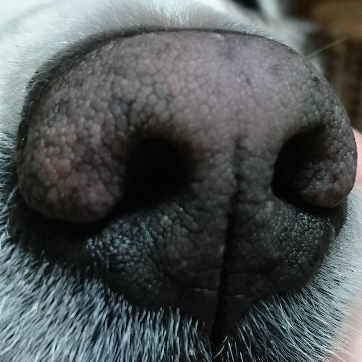 Ffd073ed daa3 4da0 97f9 873d898605cb 1523445880225