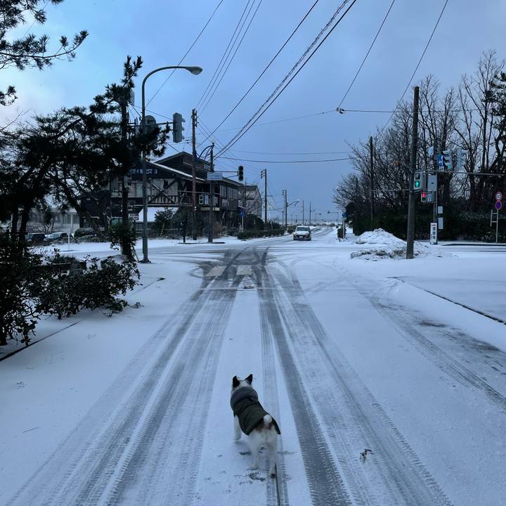 Ffd09aa2 6cef 41c2 8344 a58fbce51479 1611962729511