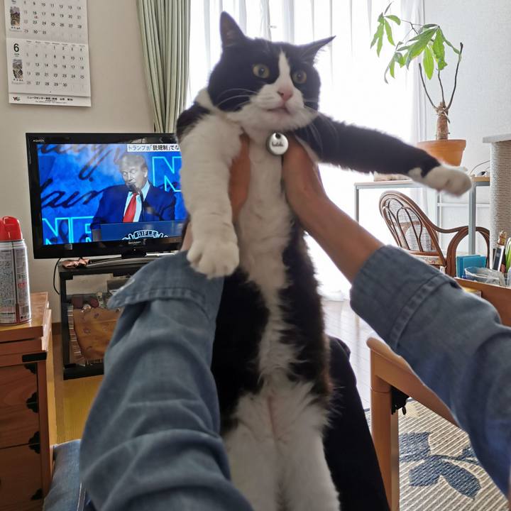 Ffd09dd5 8a7a 4c17 84cd 5db1b2868d95 1653880713013