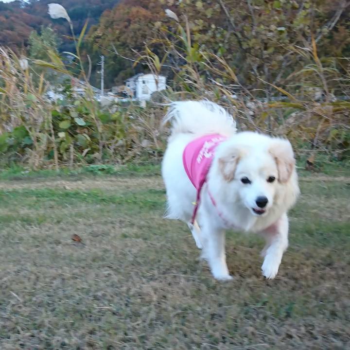 Ffd0d5f9 8a91 4e6a 93f7 47fa58006279 1510726979212