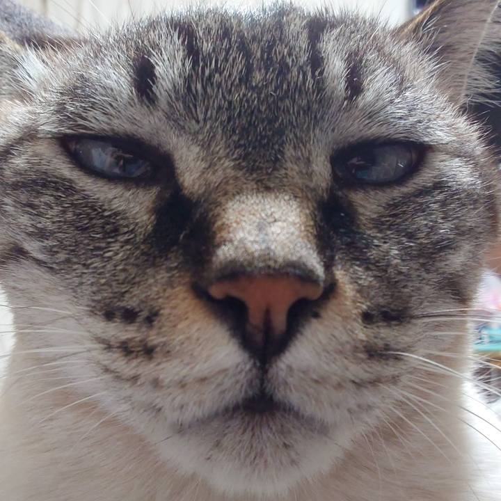 Ffd0db88 e791 477a 971c 5632cad5ea6e 1774705216233