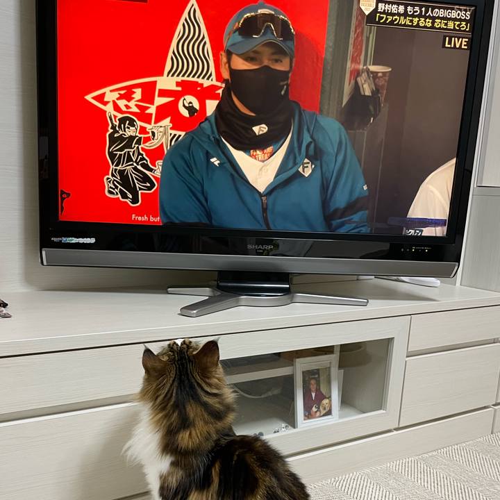 Ffd14ad4 d8fc 4c9f a958 6628cd9d9285 1656675647480