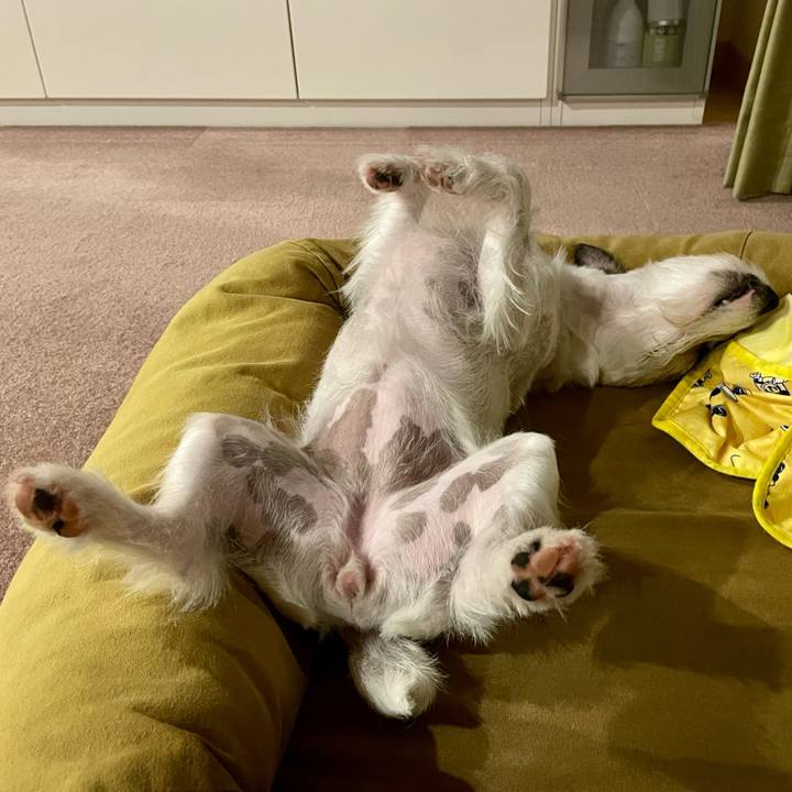 Ffd161e2 9c05 46f9 8419 ba7228098e65 1657114061800