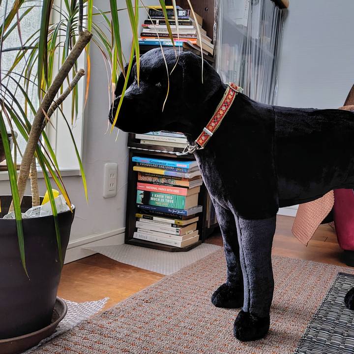 Ffd18ea0 7b55 4728 8856 c7b22c5118fc 1747386129617