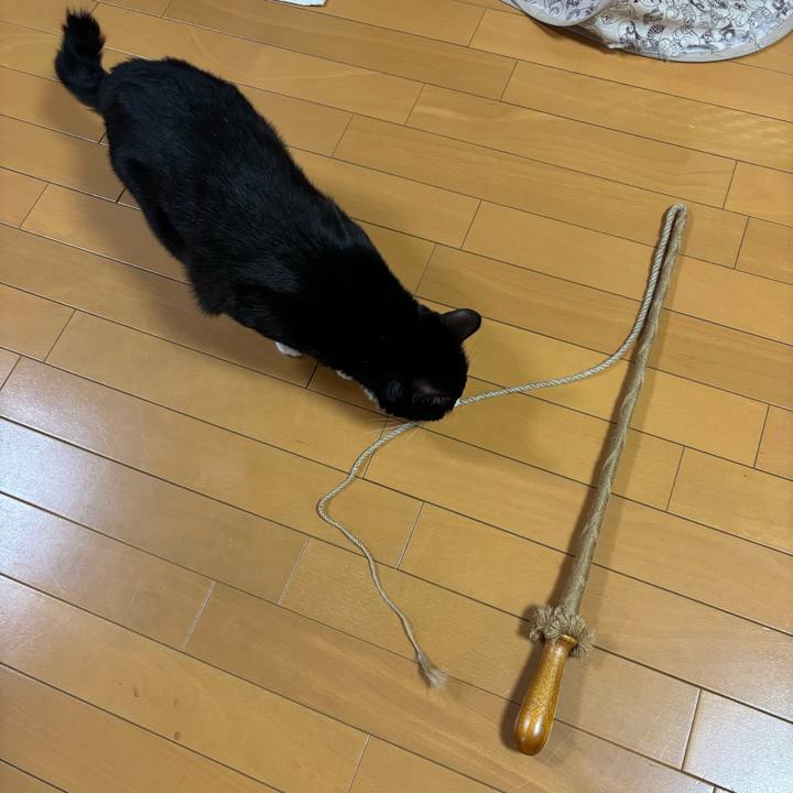 Ffd1be19 7c2a 40fd a184 eabb28ba0aab 1771750816605