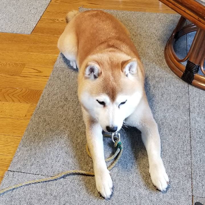 Ffd1cc16 7a21 494b 97d1 d1a06d361879 1607398856648