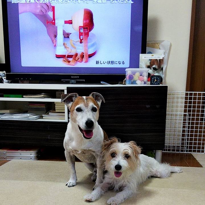 Ffd206fb b6b7 4245 bbce e6b1d0701a37 1564092339986