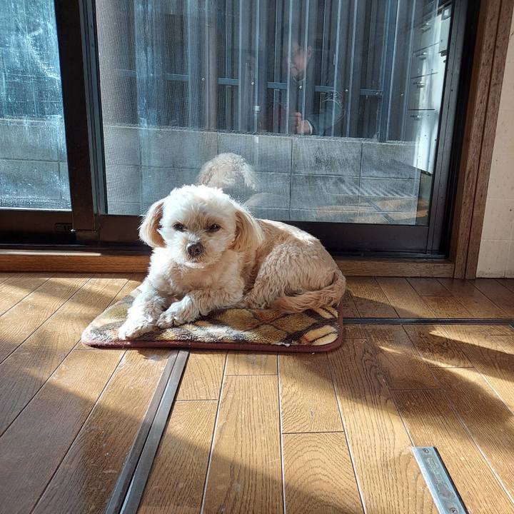 Ffd3045a a94a 4efa bd78 8d1d2d101345 1642483602478