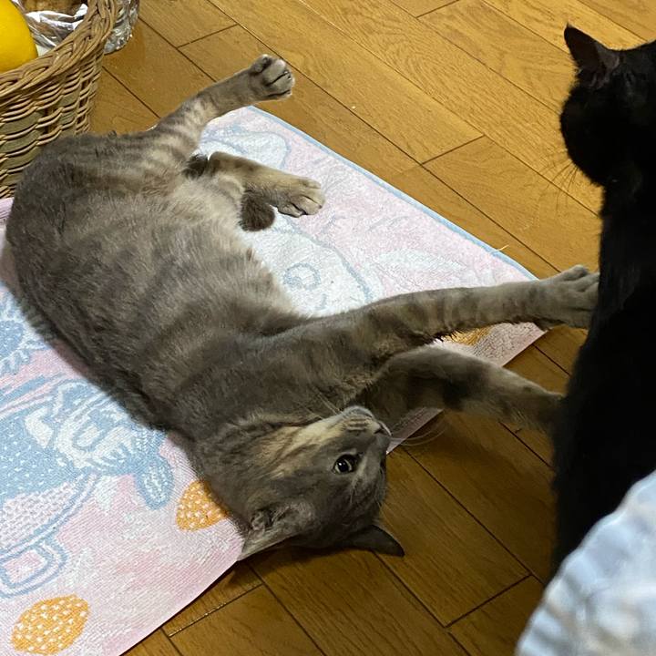 Ffd30a0e 5ba7 429a 84d4 a287be62bf28 1583240391067