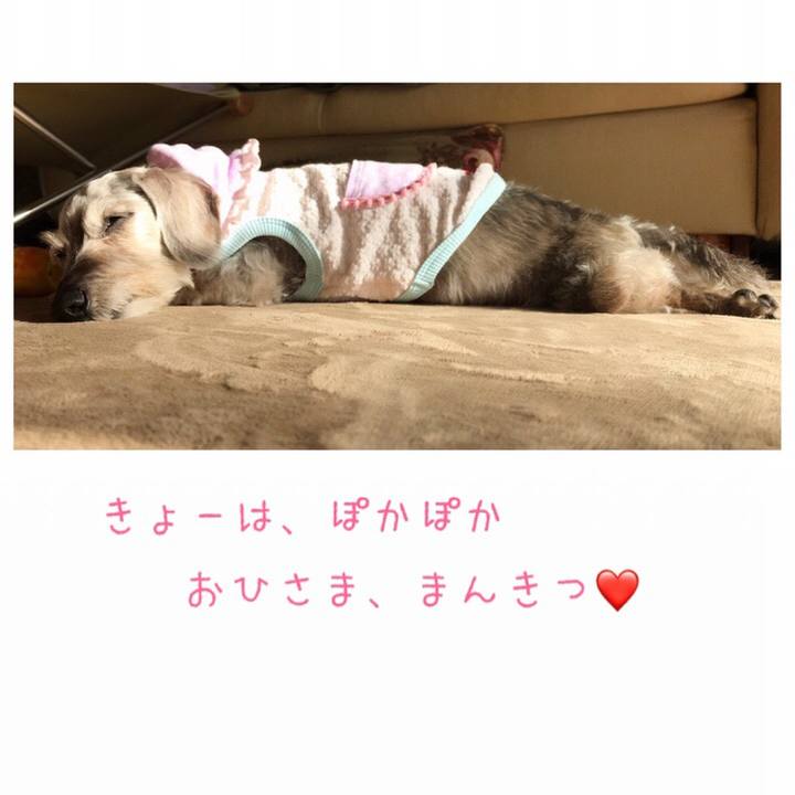 Ffd3288e 0096 4bae af3a d790b982463b 1520899774954